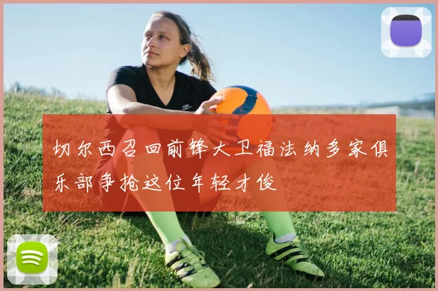 切尔西召回前锋大卫福法纳多家俱乐部争抢这位年轻才俊